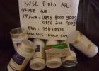 Pusat Agen Distributor WSC BIOLO Tangerang